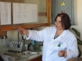 Школьники провели лабораторные занятия на базе ведущего вуза Крыма