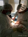 Нейромониторинг в практике эндокринного хирурга