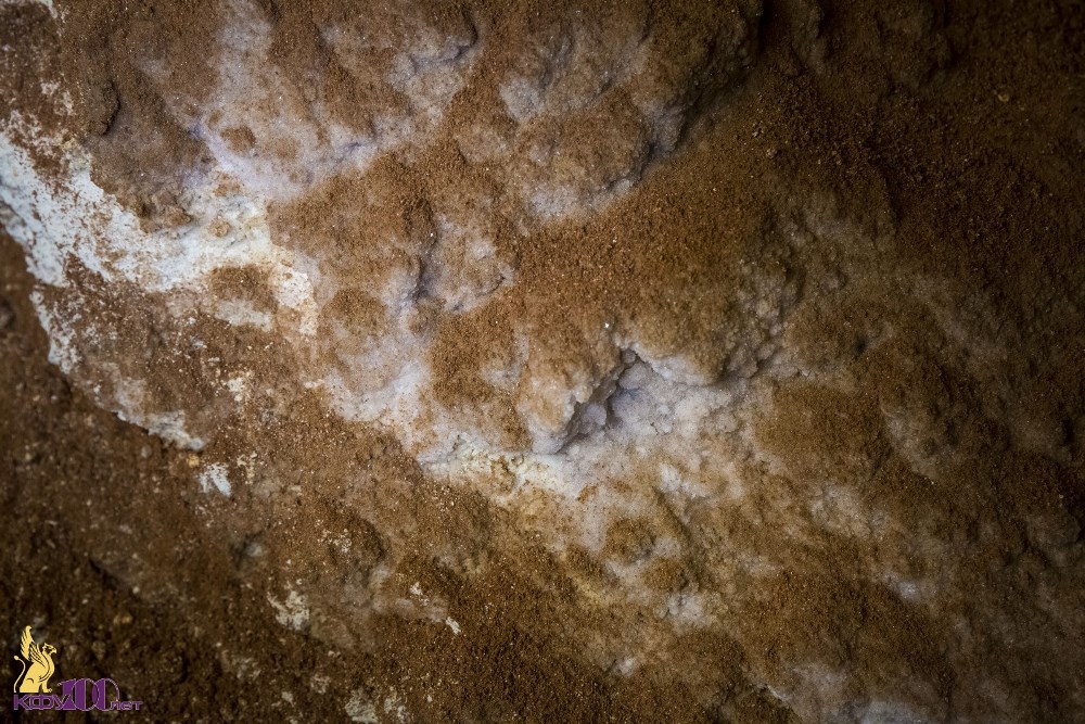 Пещера Таврида (23)