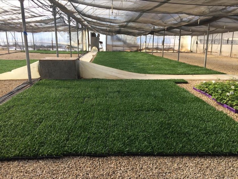 Attachments_oyakimenko1@mail.ru_2019-12-20_09-24-06_00004