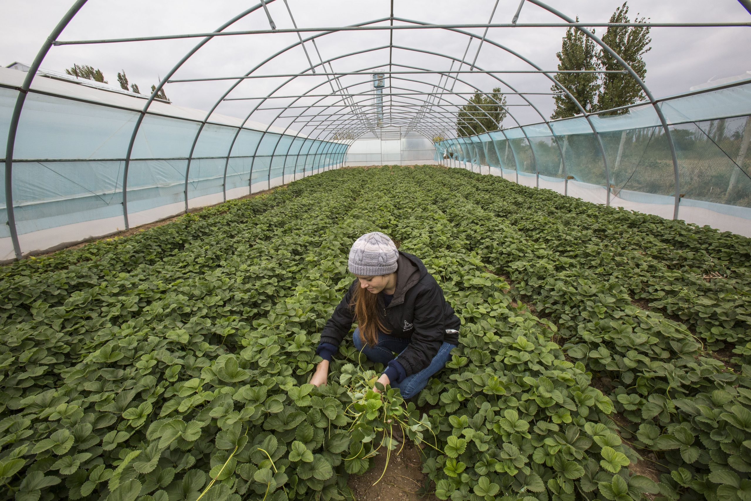 Студенты-медики в больница 1