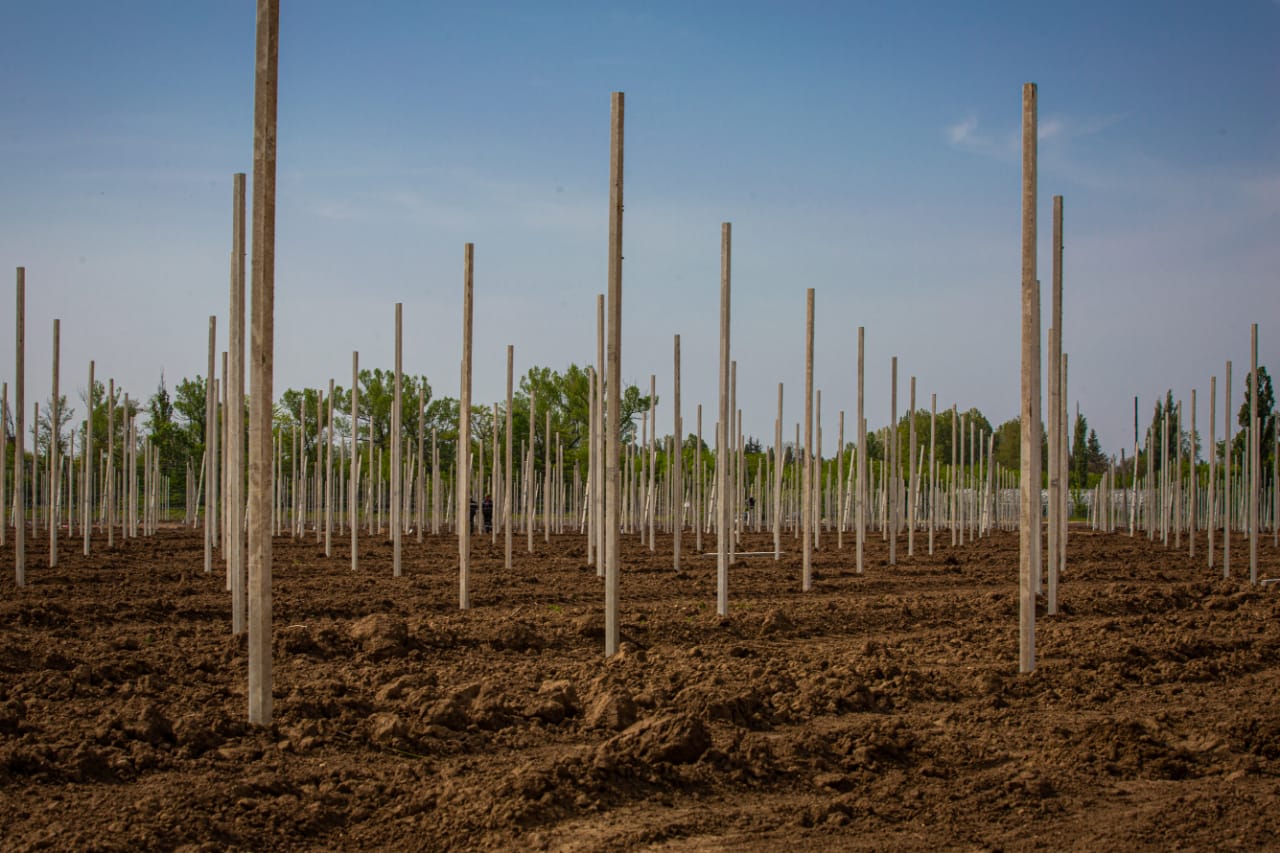 PHOTO-2020-05-24-20-02-31 (1)