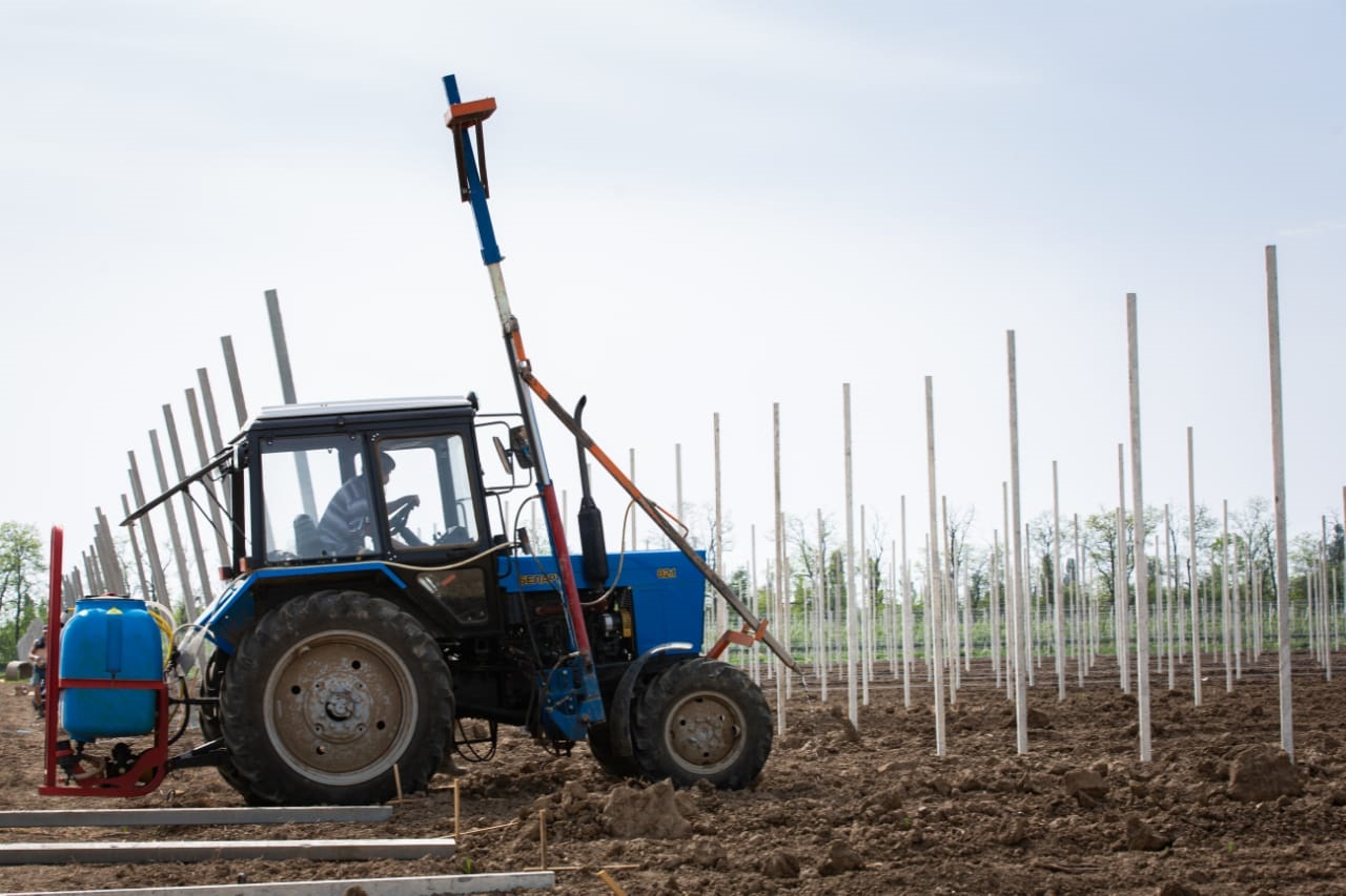 PHOTO-2020-05-24-20-02-31