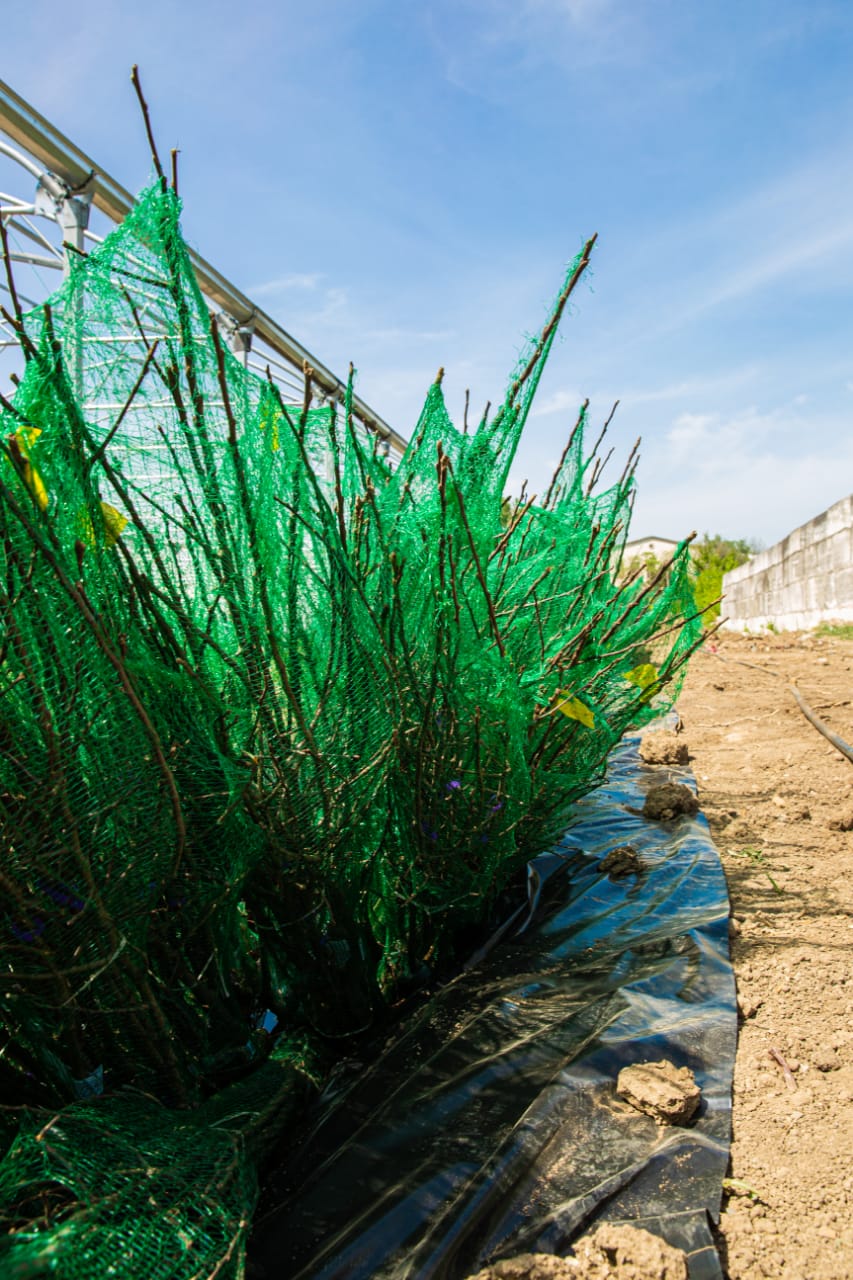 PHOTO-2020-05-24-20-02-32