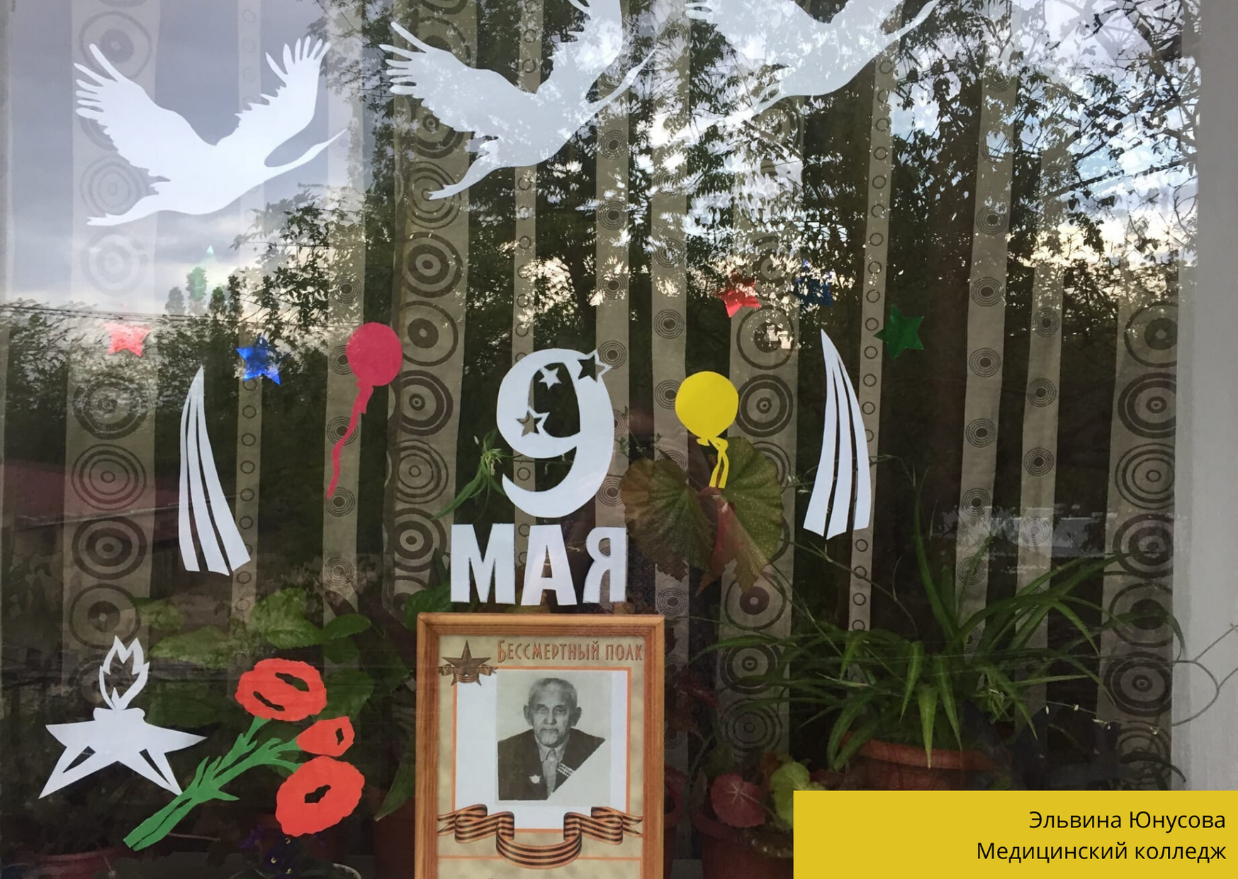 Окна Победы