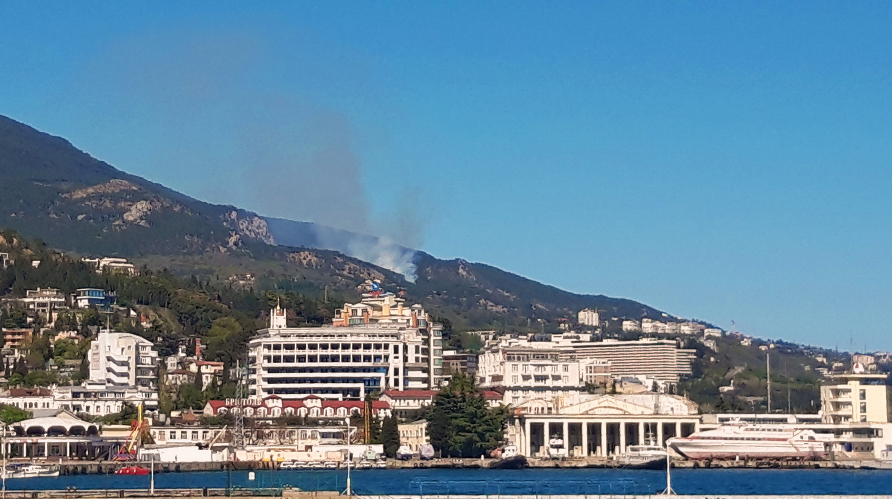 уюЁшЄ ыхё т ▀ыЄшэёъюь чряютхфэшъх (ЇюЄю ┬. ┬хЁсшЎъюую)