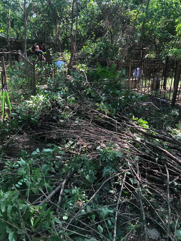 image-29-06-20-11-27