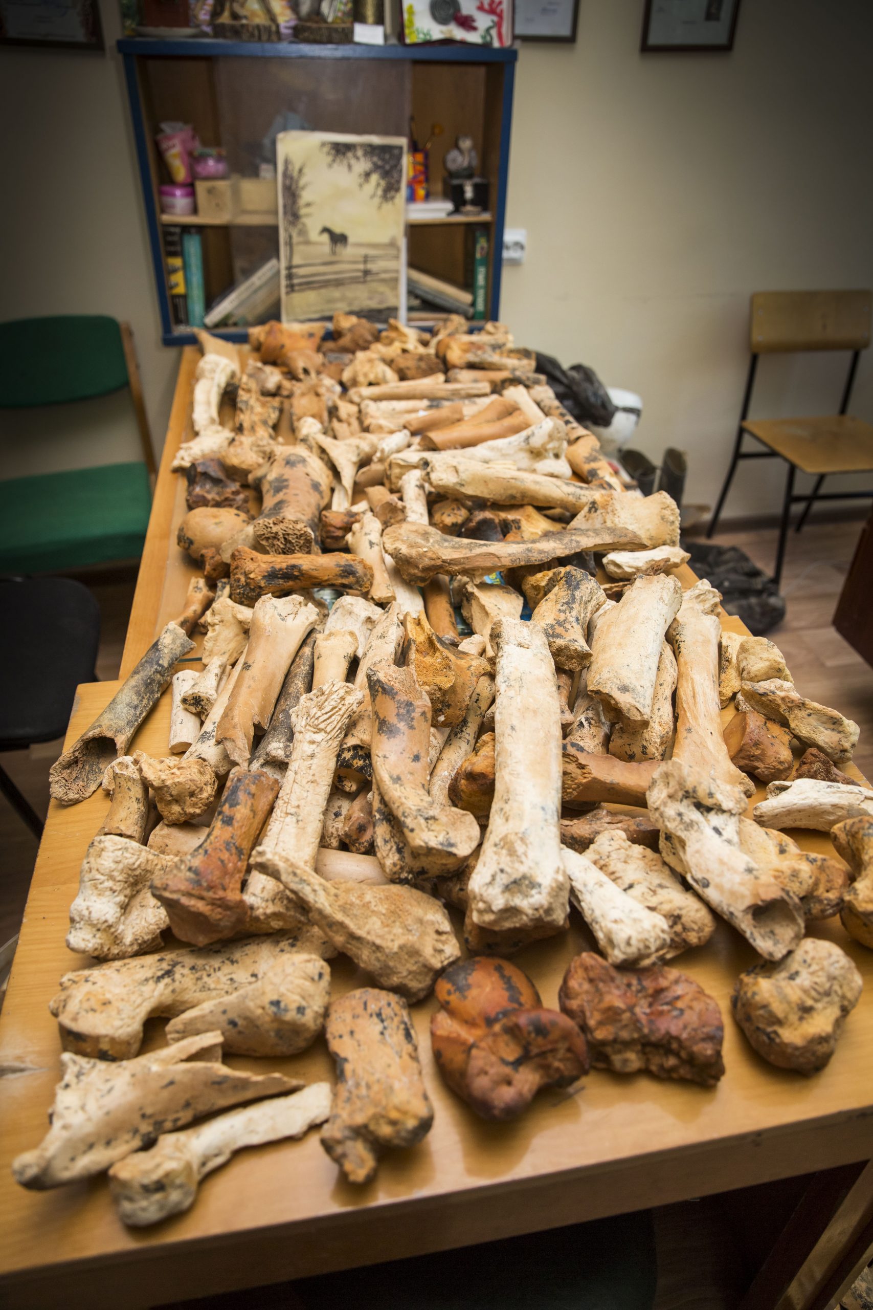 IMG-d3d19ca53989359c1070fc5f571c89af-V