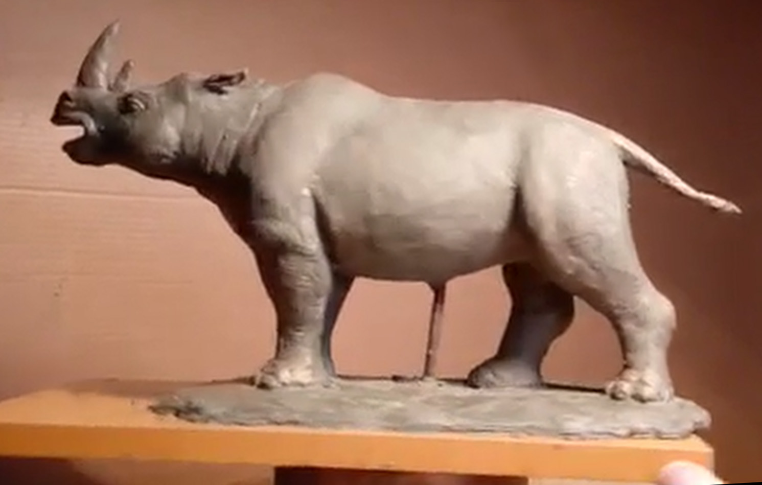 модель стефаноринуса