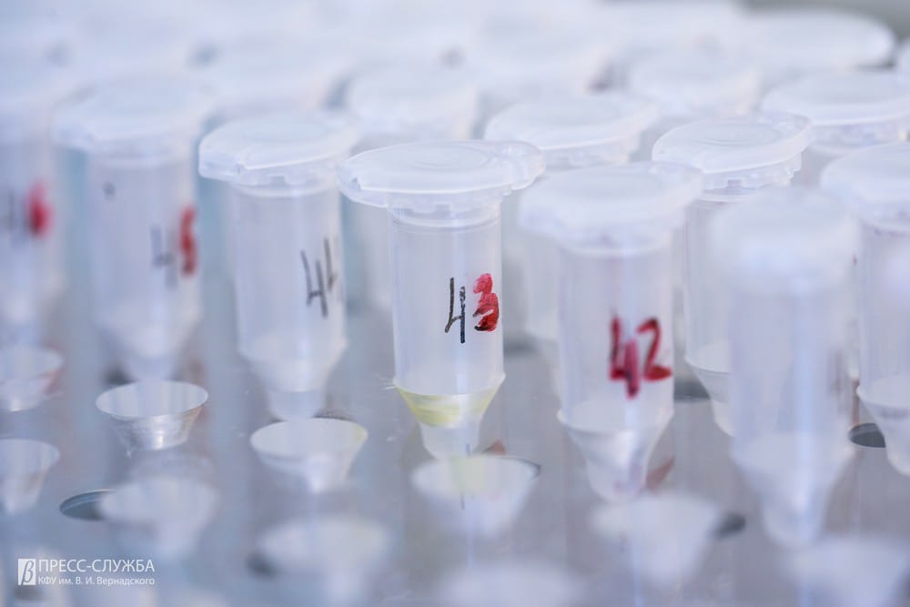 PHOTO-2020-06-24-12-24-06