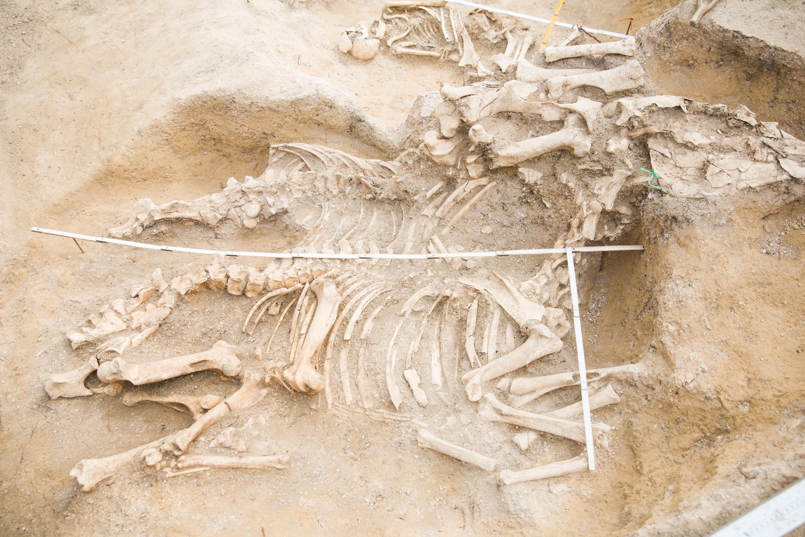 Игорь Храпунов 1