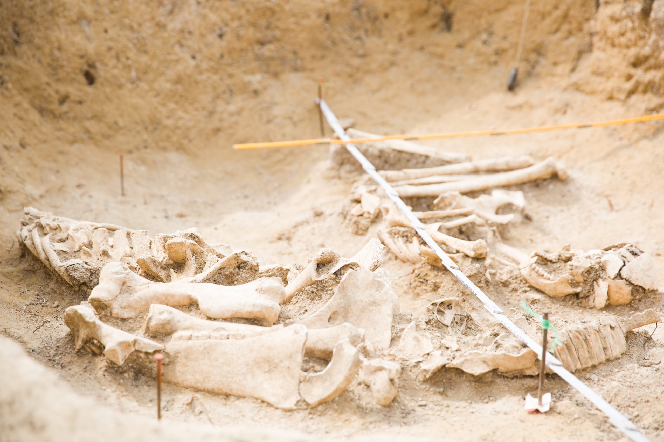 Игорь Храпунов 1