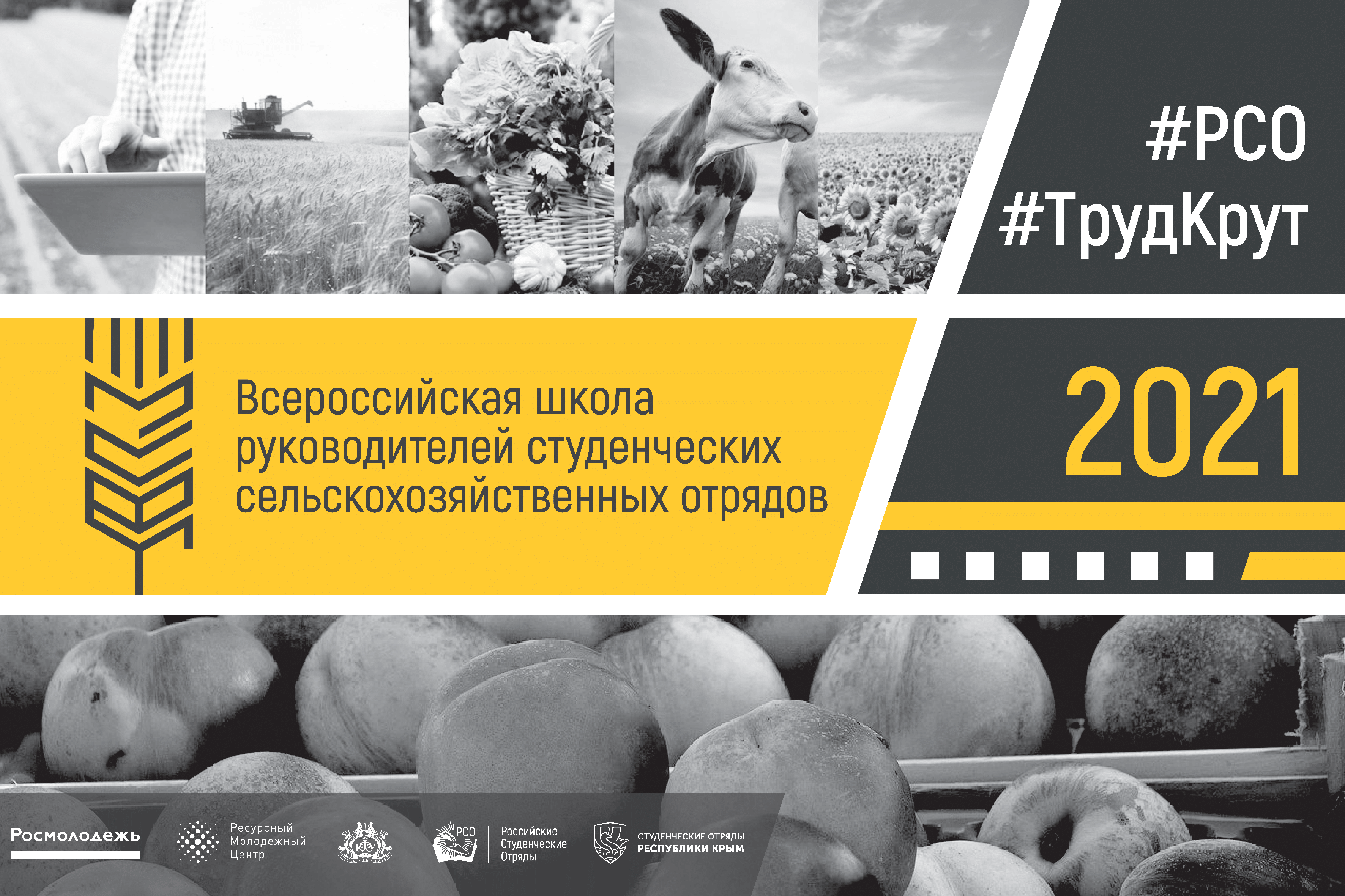 01 - Логотип Школы ССхО