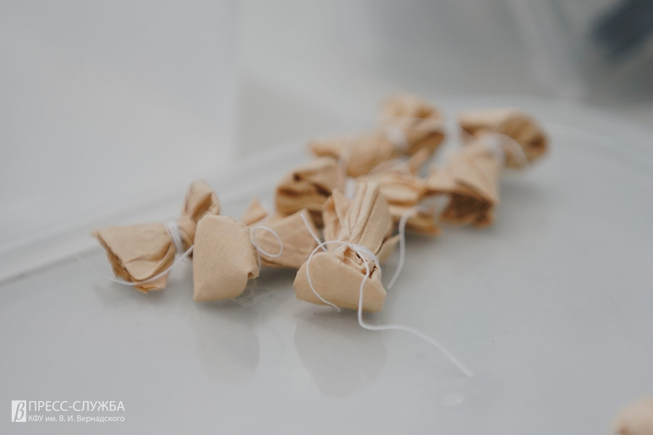 Тропические орхидеи в ин витро