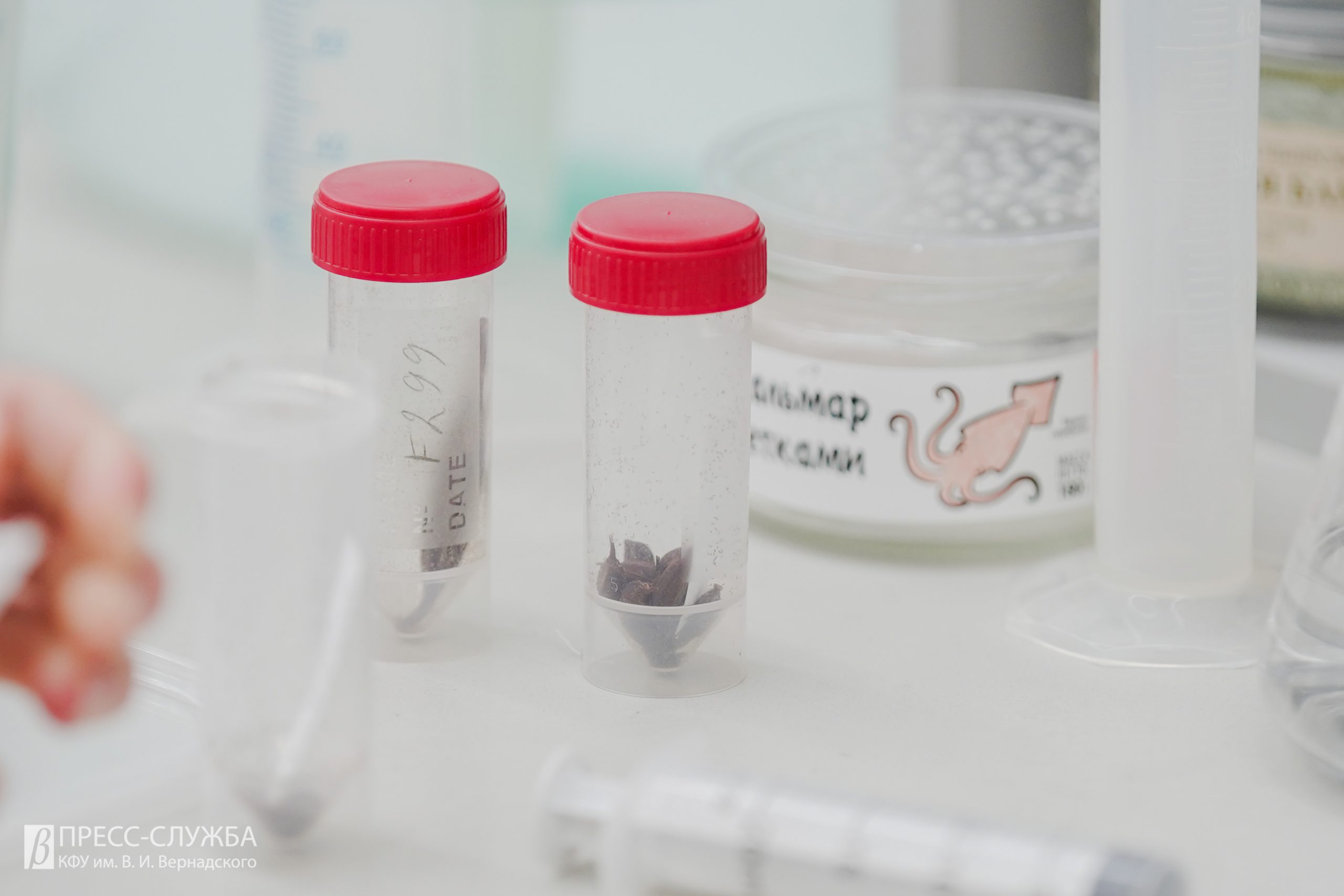 Тропические орхидеи в ин витро