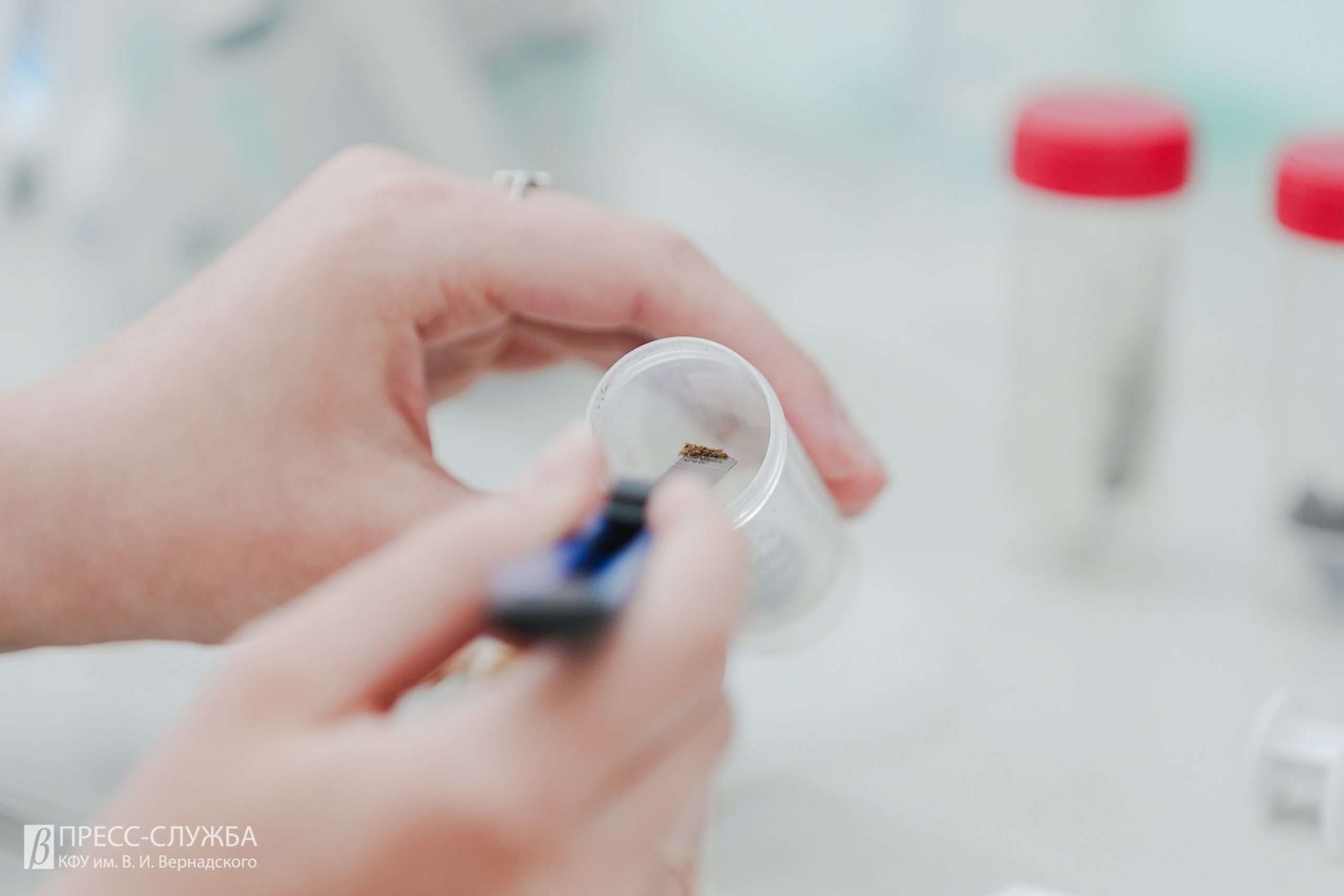 Тропические орхидеи в ин витро