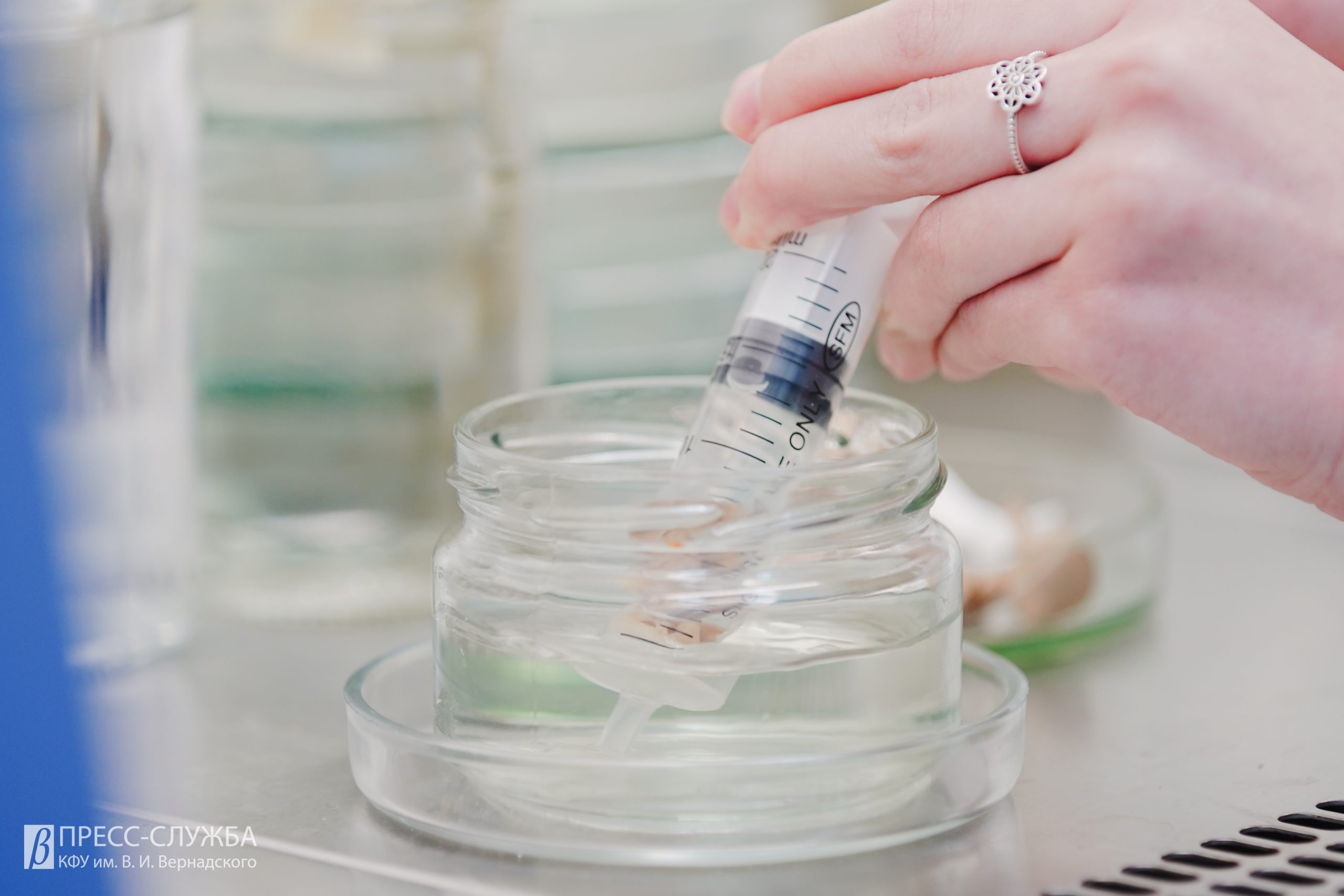 Тропические орхидеи в ин витро