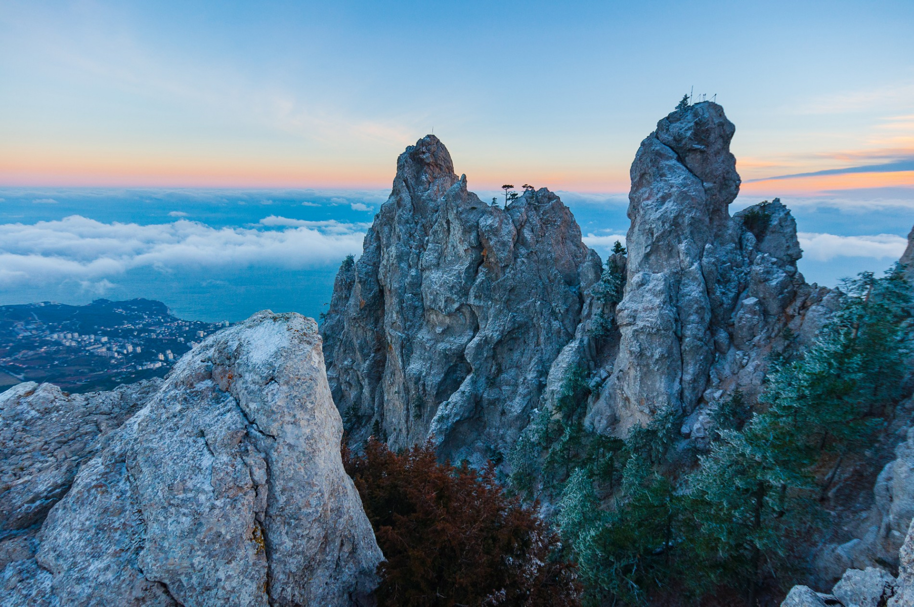 zubcy_ay-petri-409086