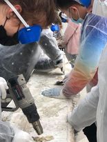 253898515_250486776951162_7950844862126148433_n