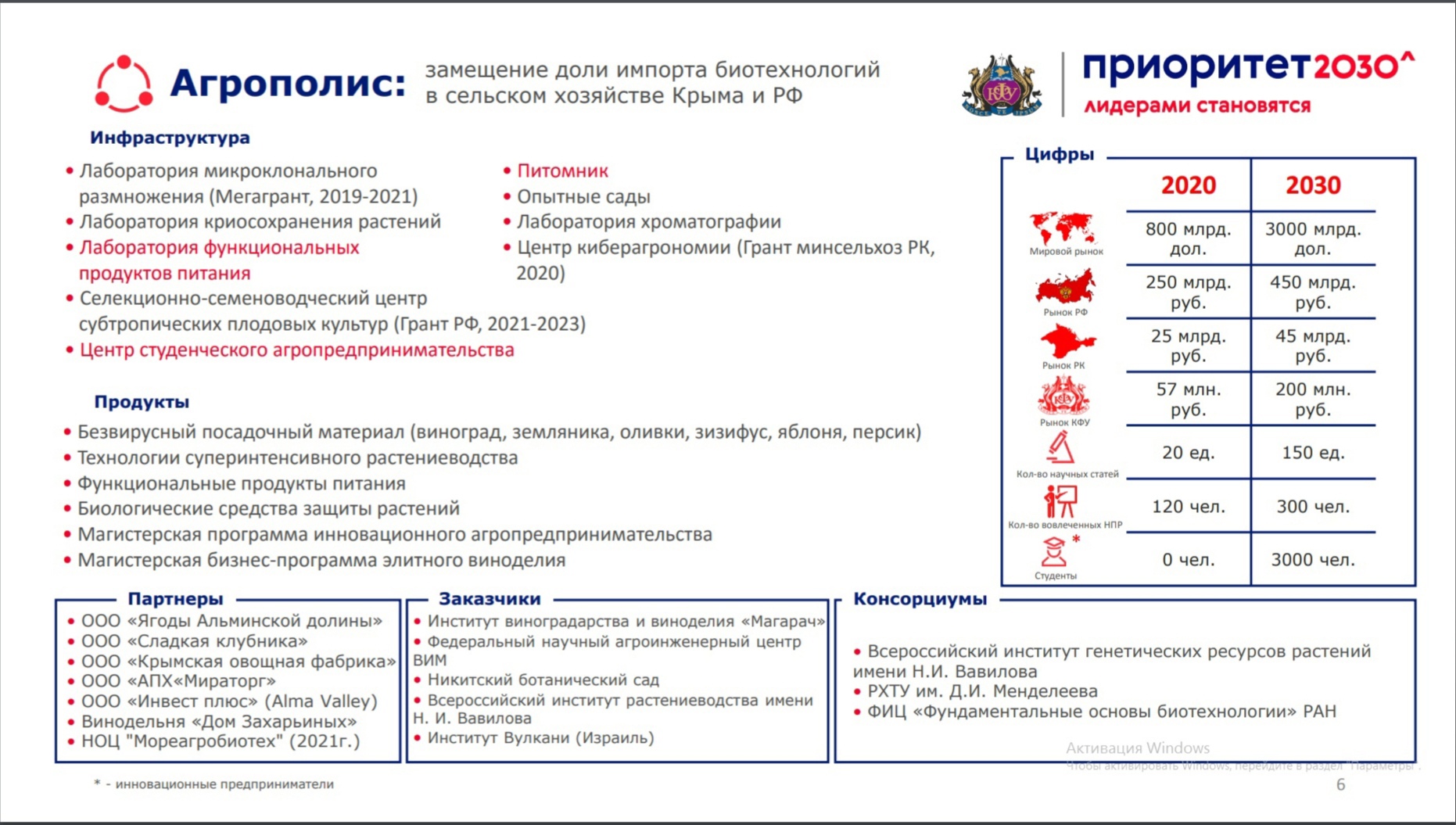 Дорожная карта приоритет 2030