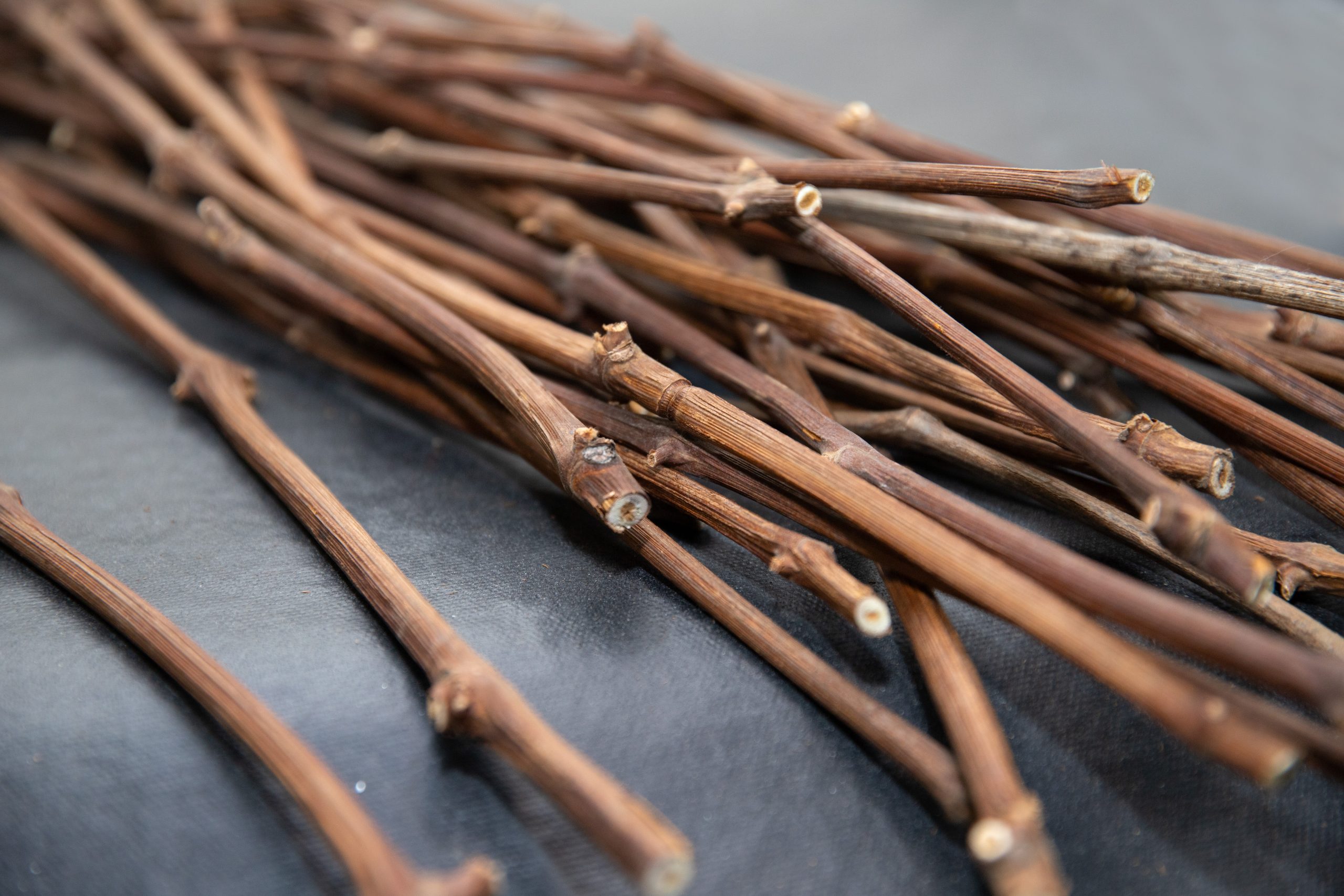 Владимир Овчаренко