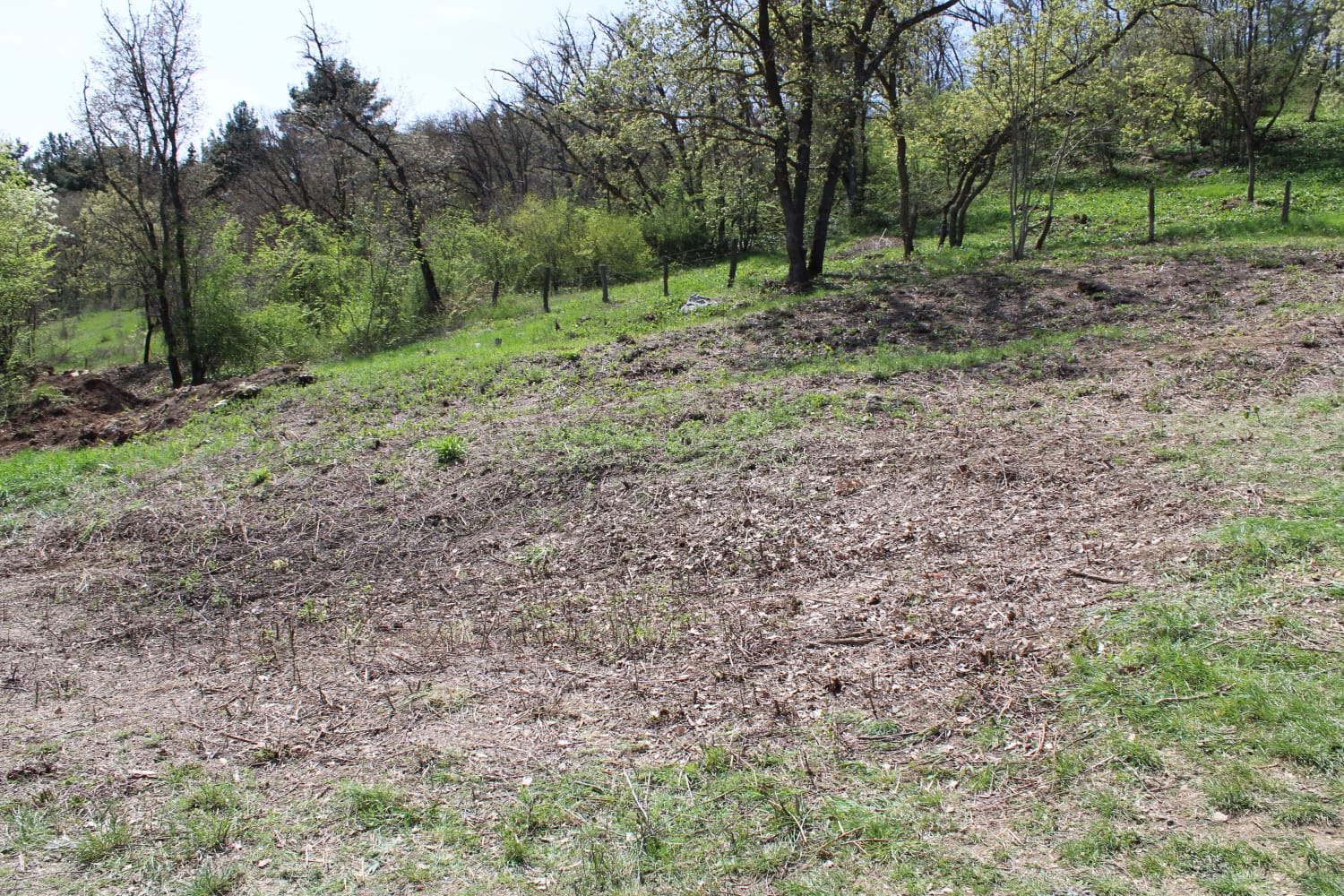 image-26-04-22-09-36-1