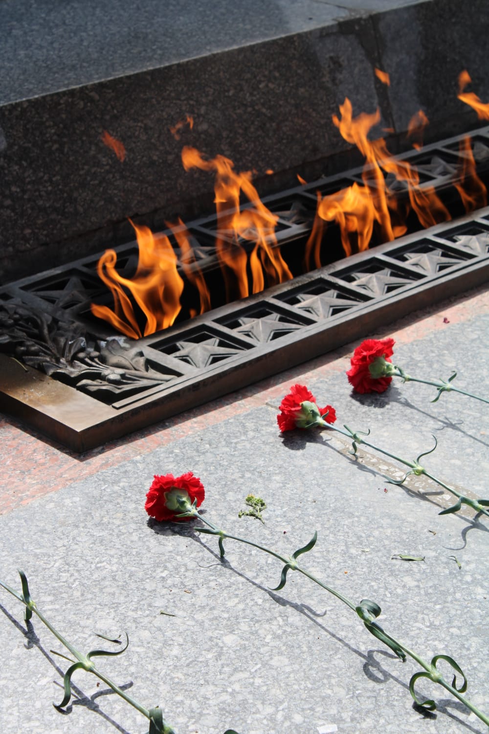 image-26-04-22-09-36-11