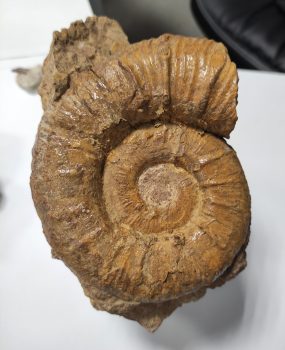 chgu_2_11.11.2022-285x350