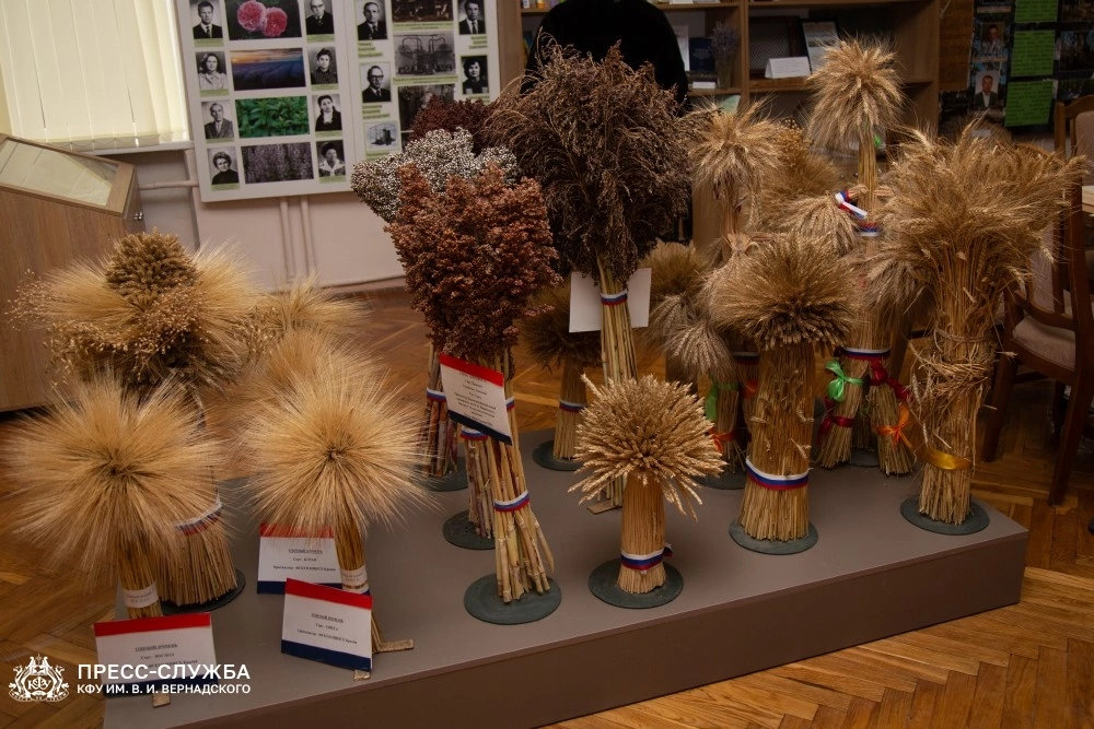 image-25-11-22-05-49-17