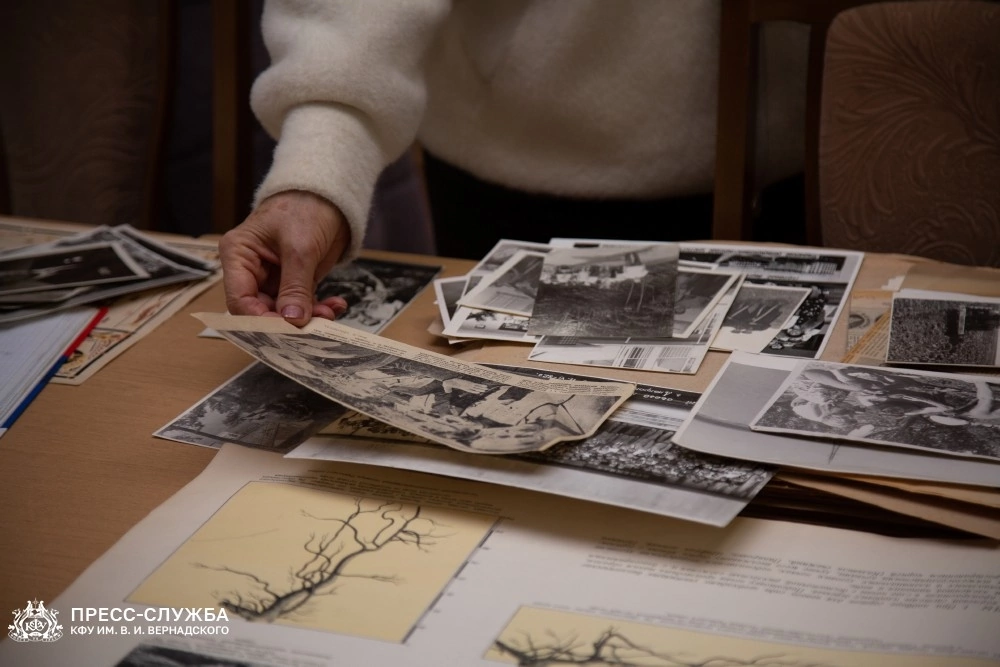 image-25-11-22-05-49-22