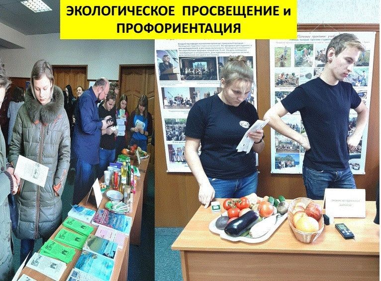 IMG-1e46fb8e2391f06ac2fc6db8bd52987d-V