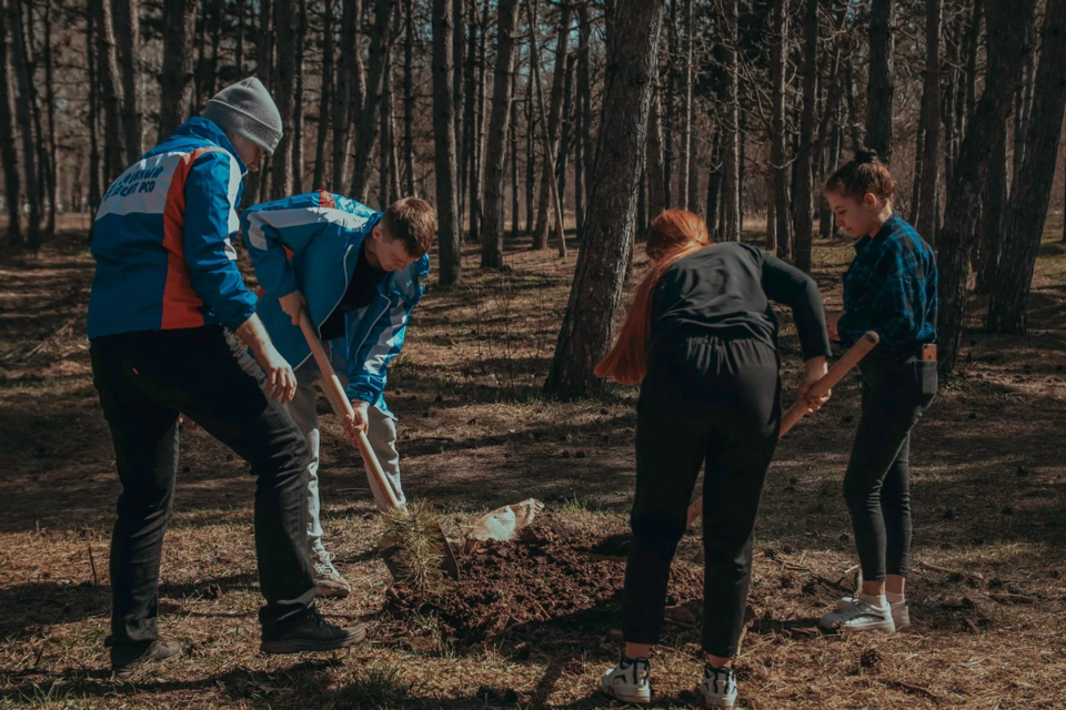 image-03-04-23-08-25-1