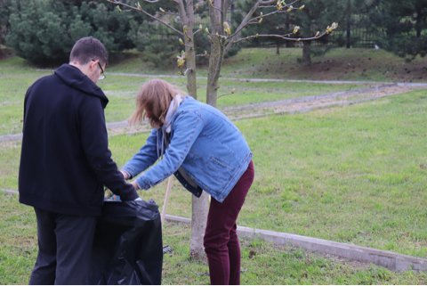 image-17-04-23-08-03-10