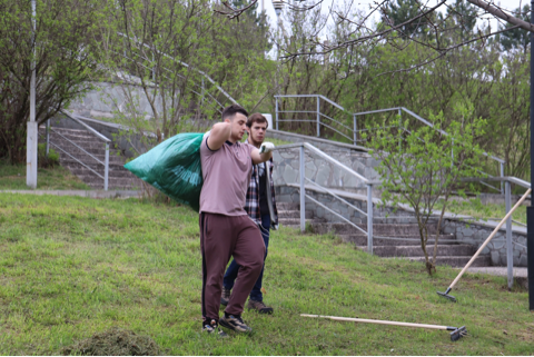 image-17-04-23-08-03-11