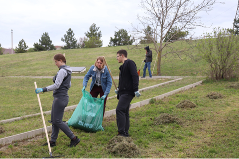 image-17-04-23-08-03-3