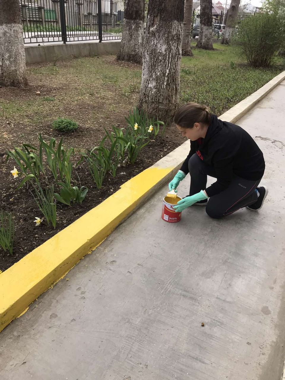 photo_2023-04-12_08-19-09