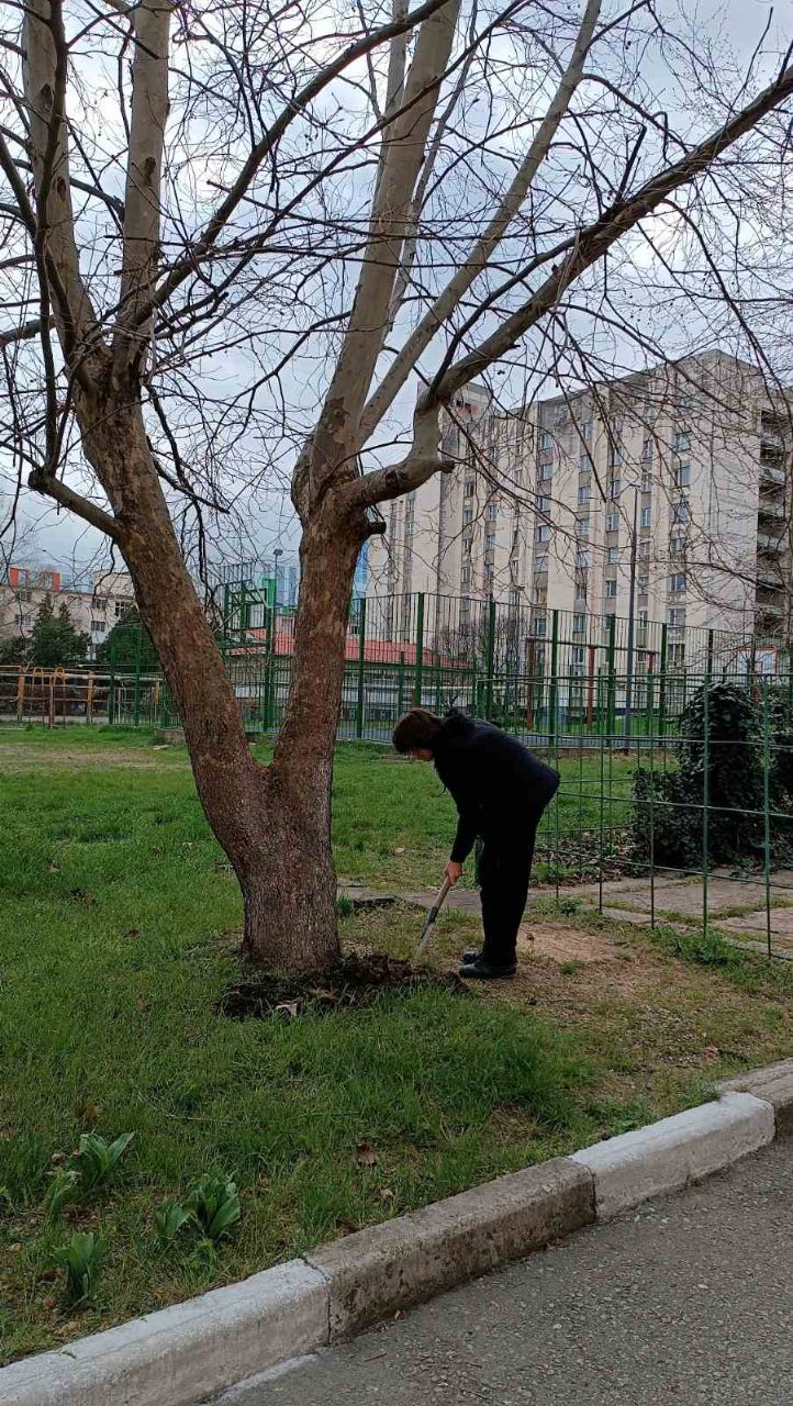 photo_2023-04-12_08-19-12