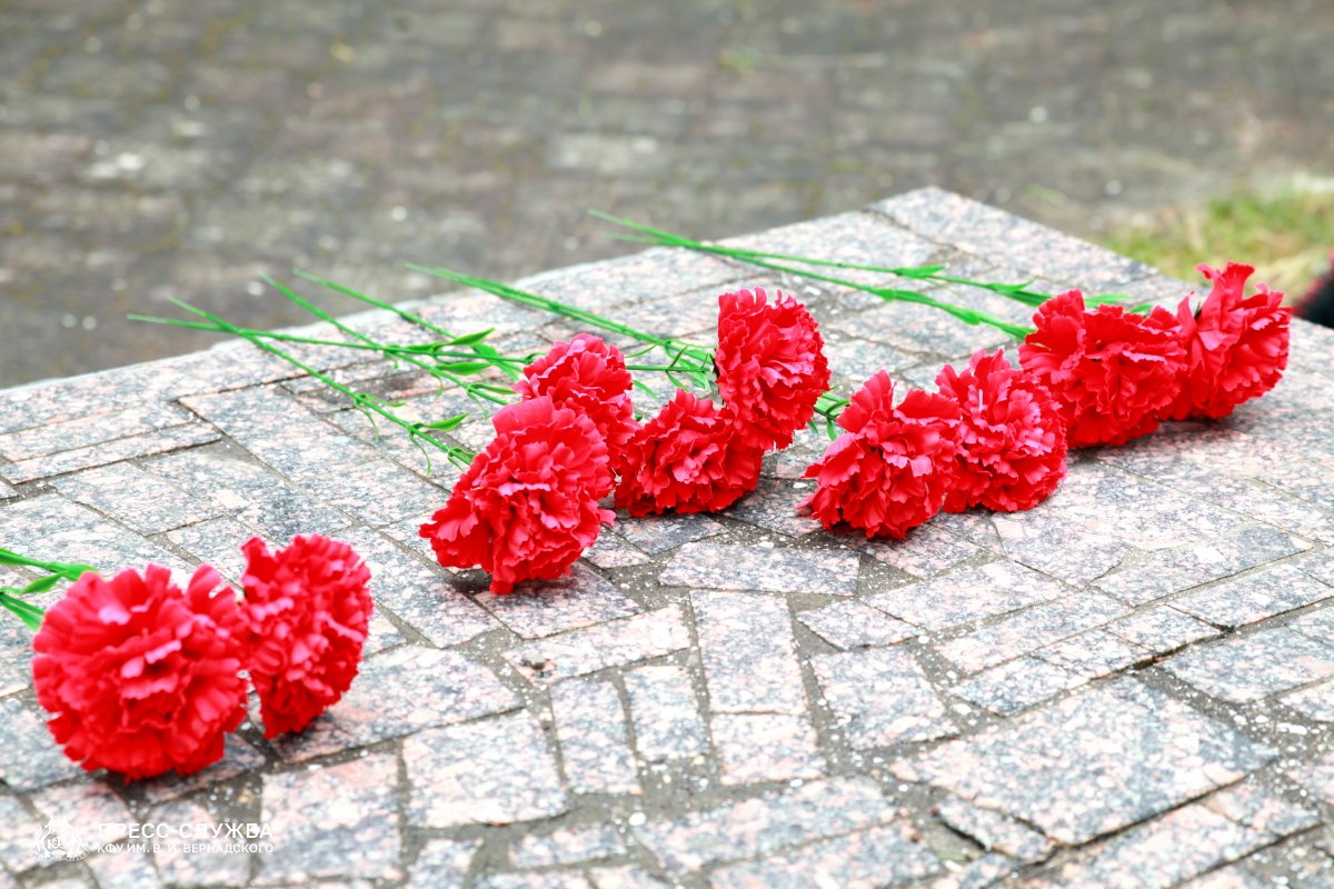 0F39A349-D275-4339-B1EF-34476DB452F5