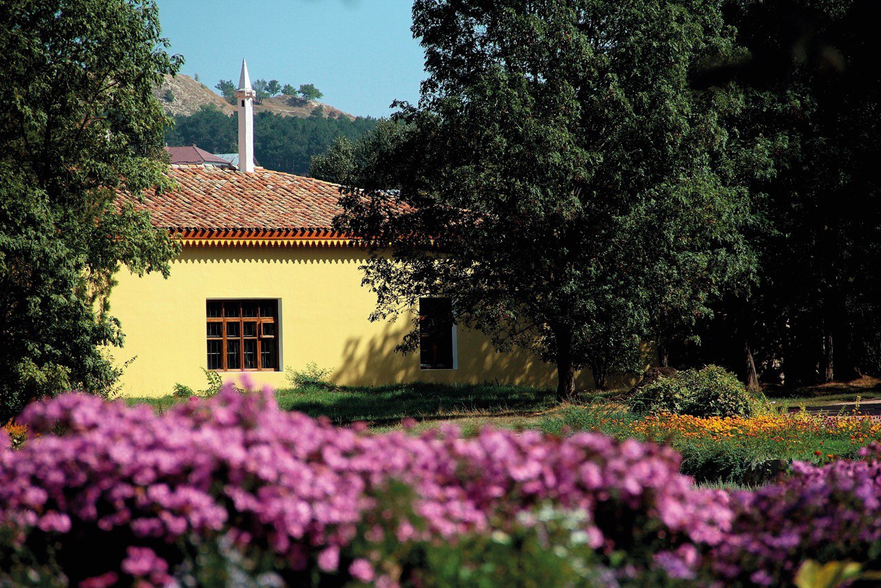 photo_2024-08-16_13-05-04