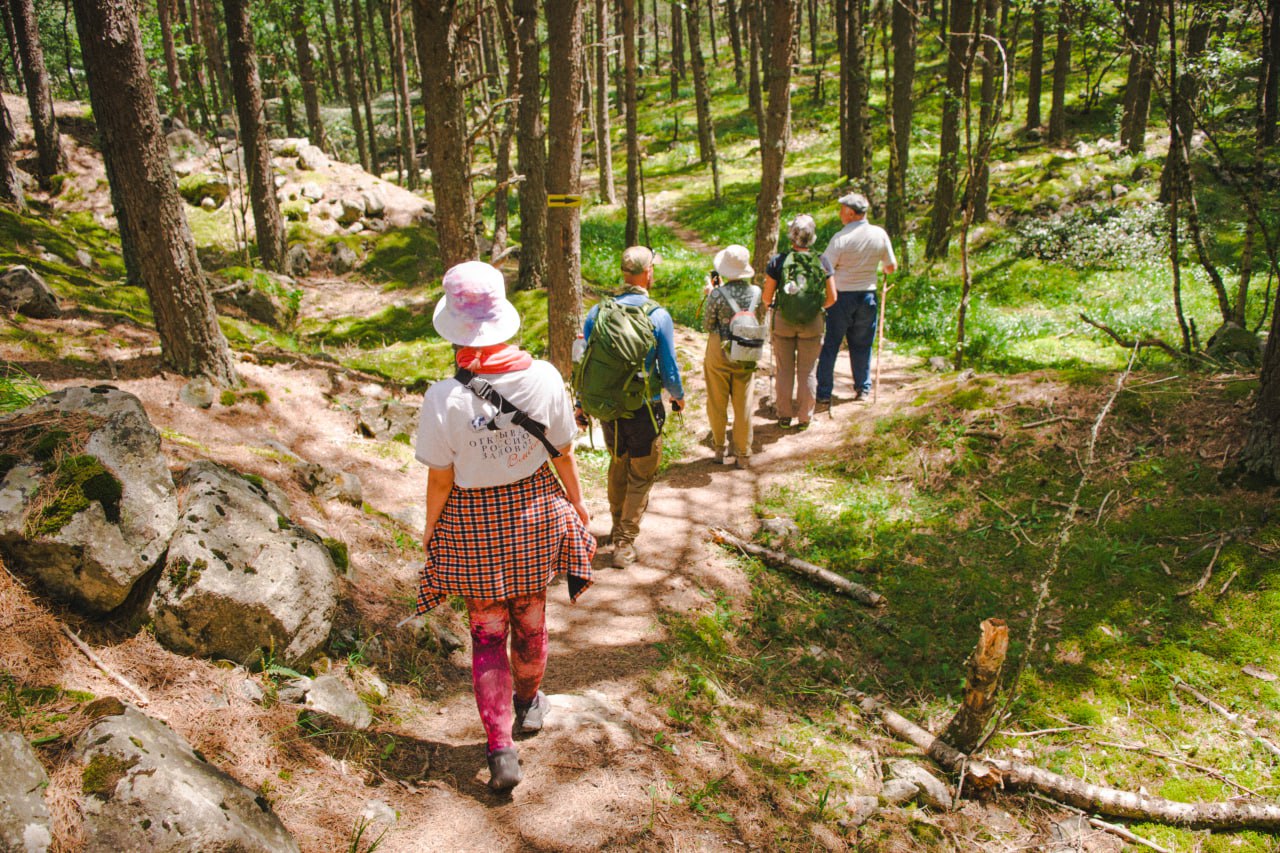 photo_5346131117331308784_y