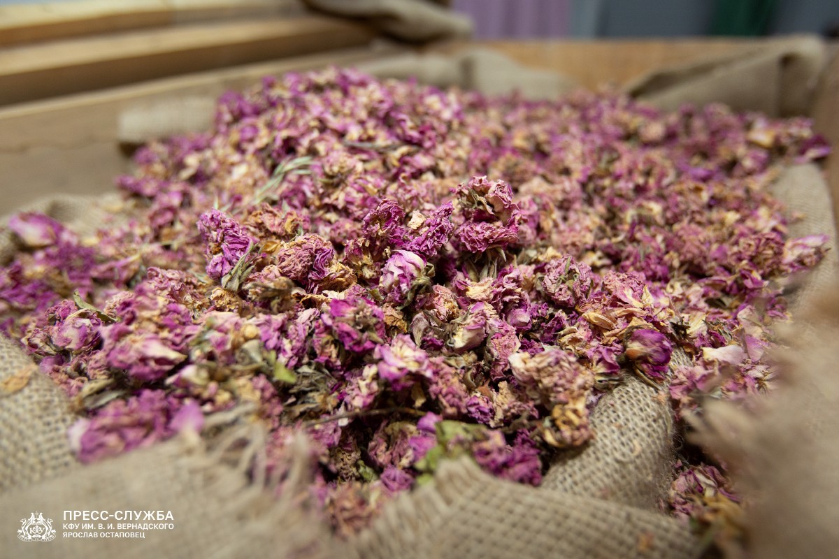 image-05-09-24-05-38