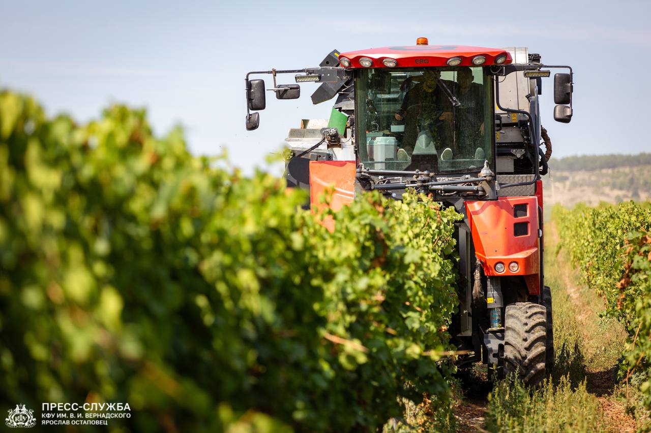 photo_2024-09-11_18-12-53