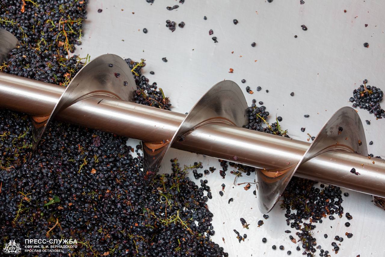 photo_2024-09-11_18-13-01