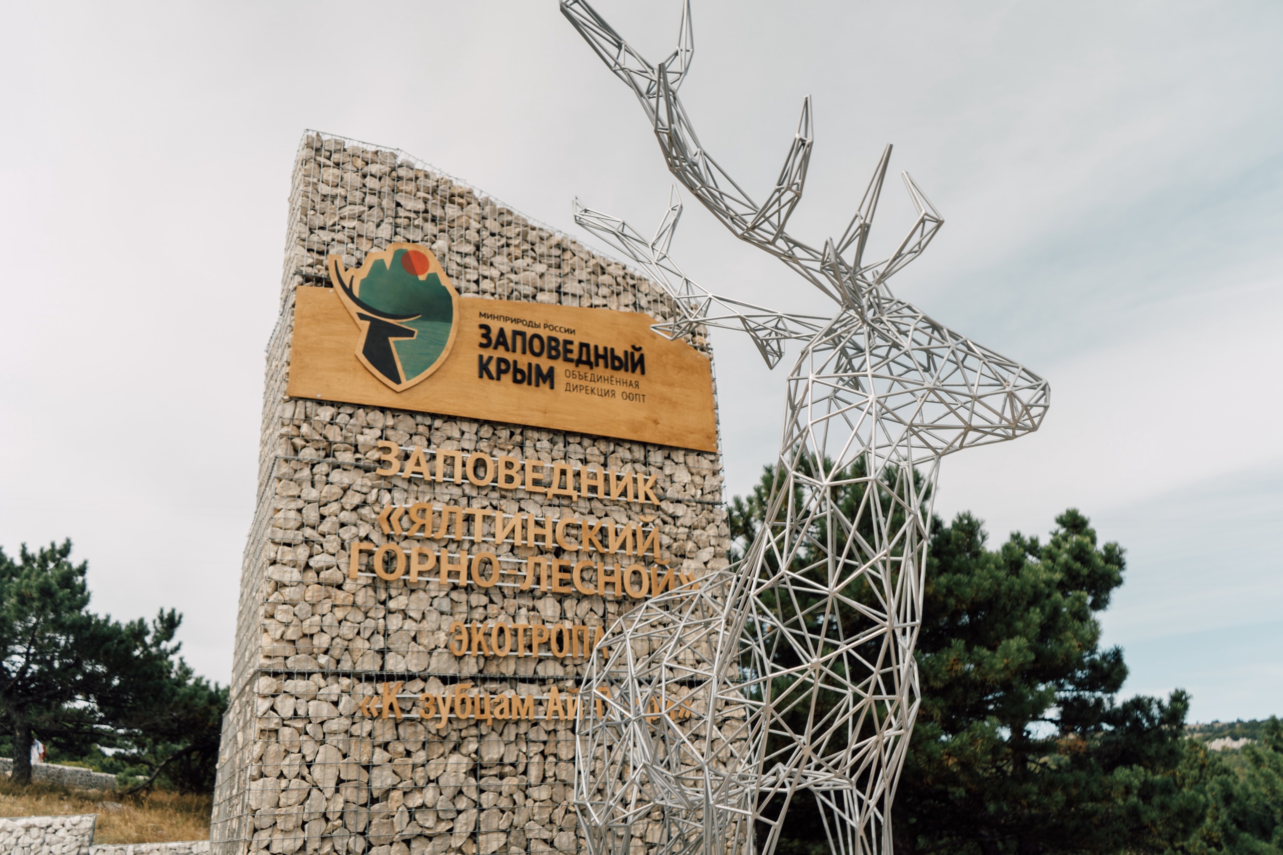 image-15-10-24-05-56-1