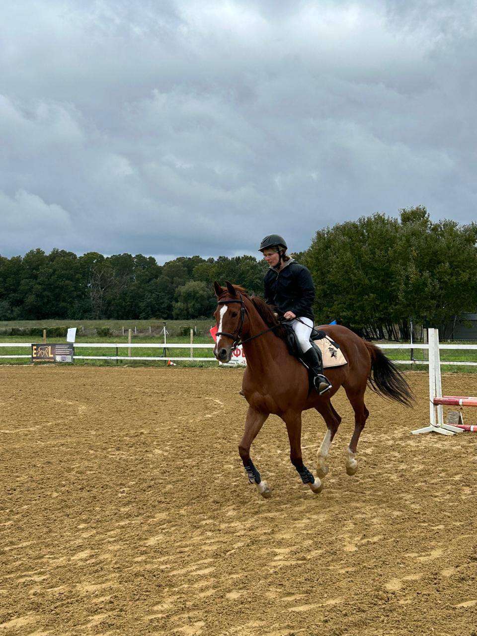 photo_5231274668109981734_y