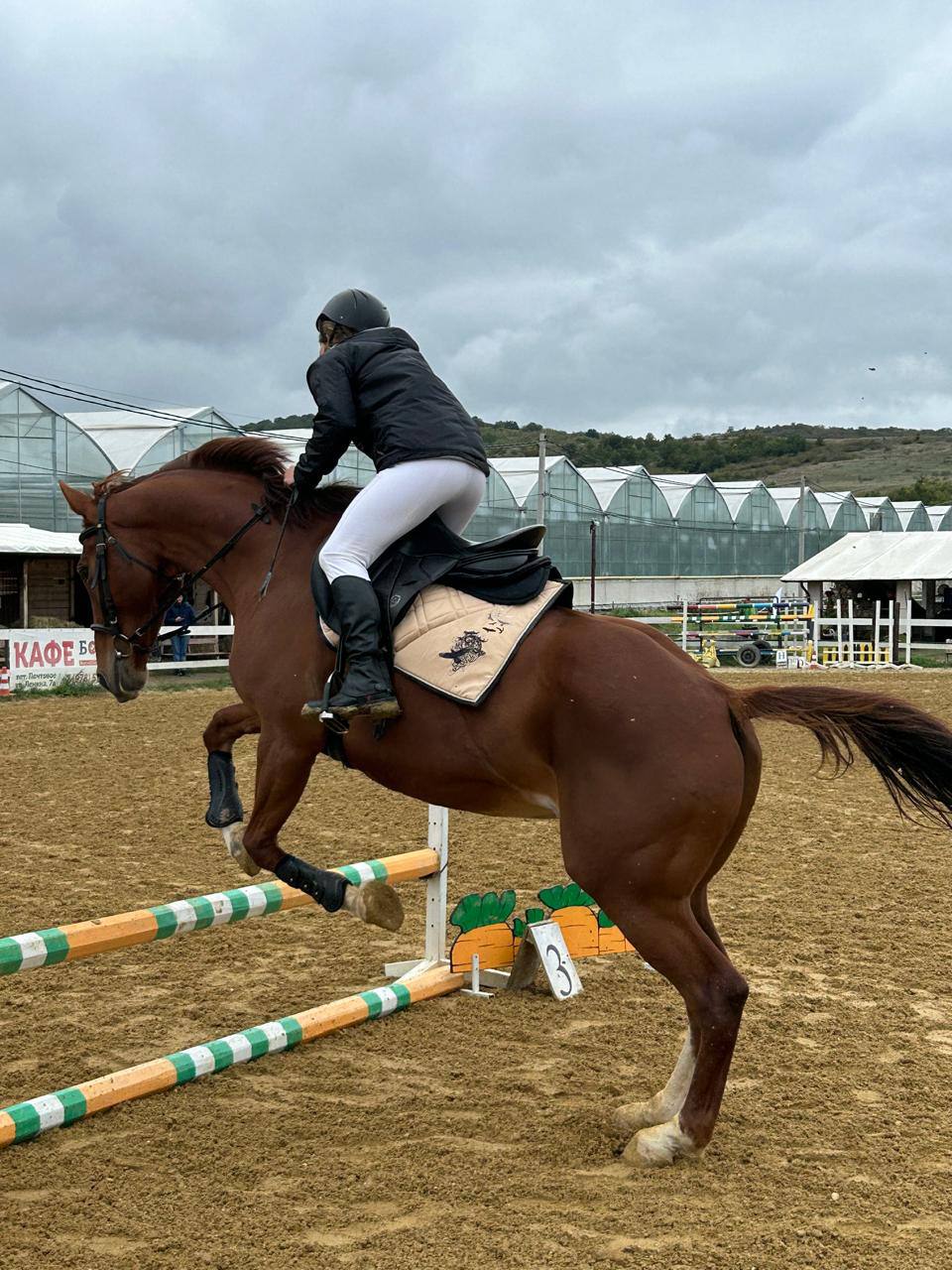 photo_5231274668109981736_y