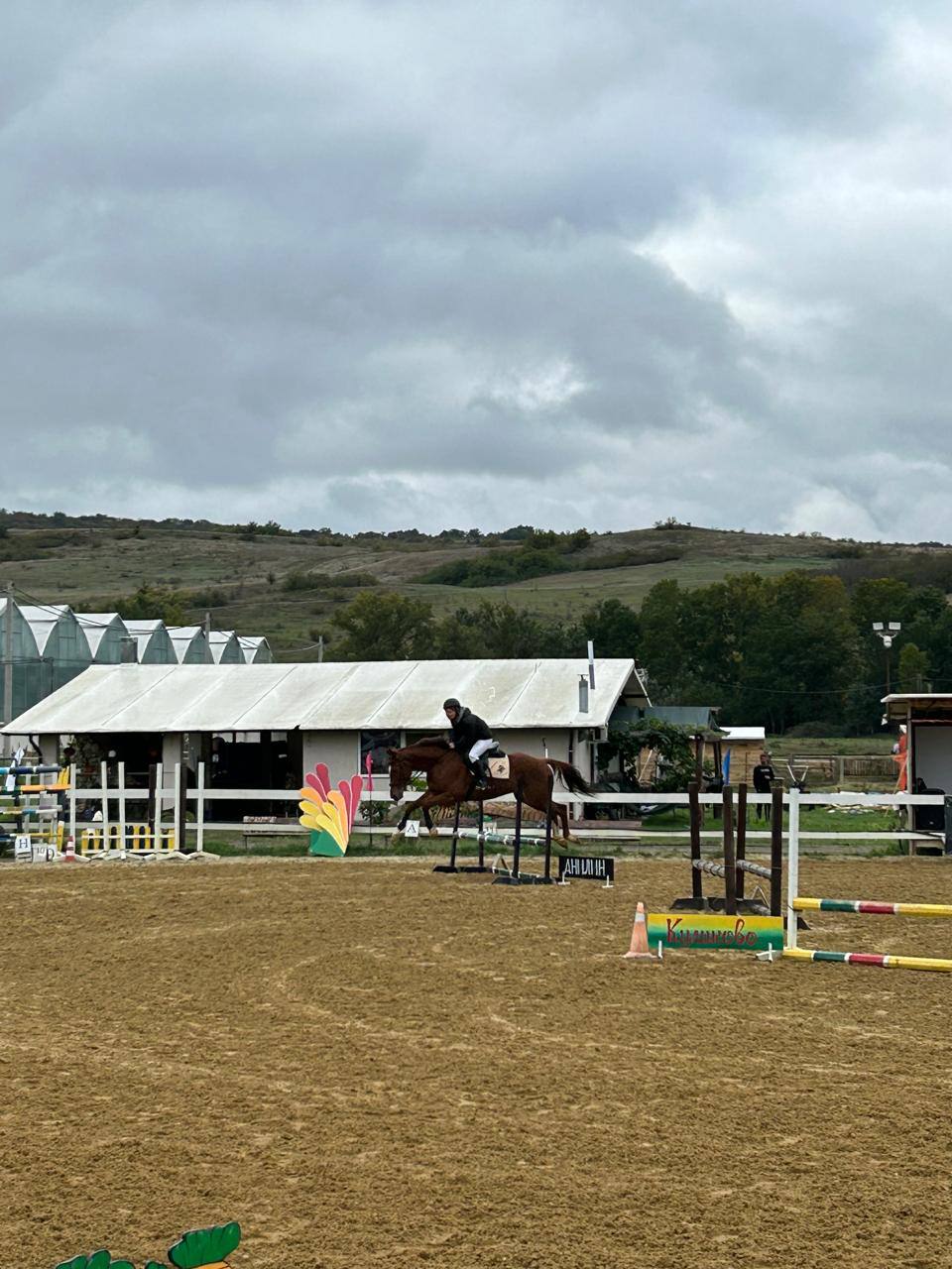 photo_5231274668109981737_y