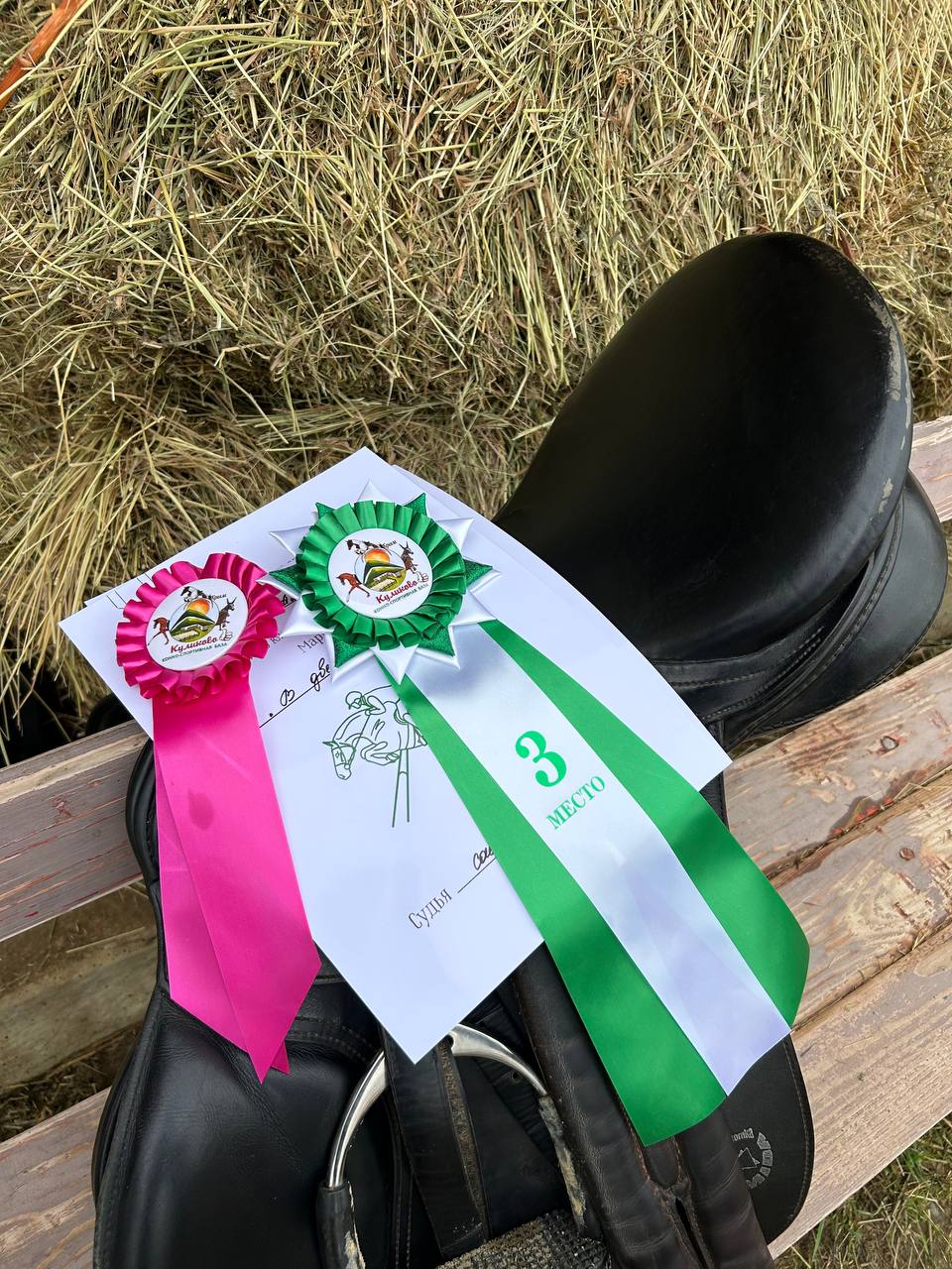 photo_5238139486137869050_y