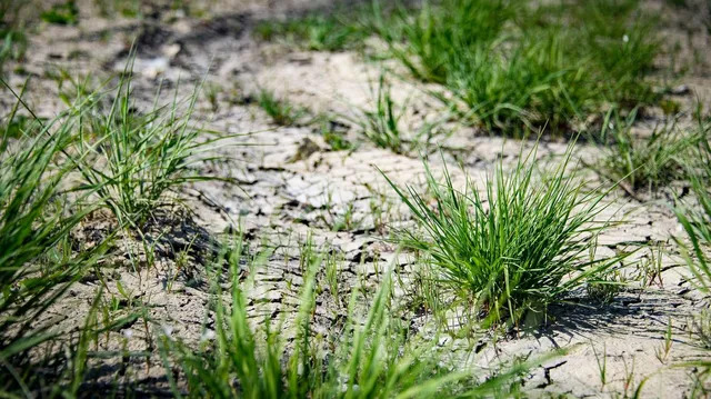 448A2BF5-9029-4B9E-836E-FD426C2227C6