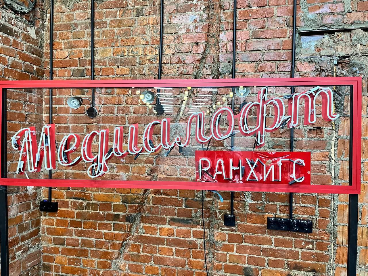 photo_5280667749791688956_y